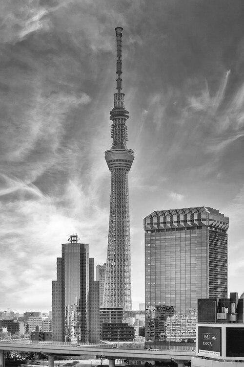 Poster Striking monochrome Tokyo Skytree by the Sumida River