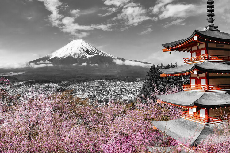 Poster Lovely view of Mount Fuji with Pagoda and Cherry Trees