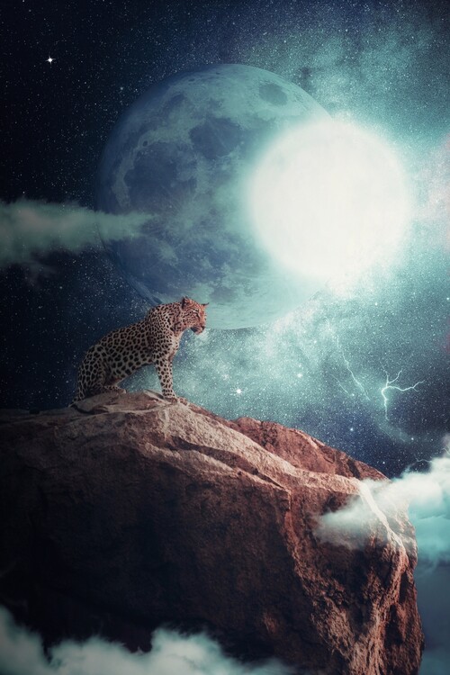 Poster Leopard in the night dominating the jungle