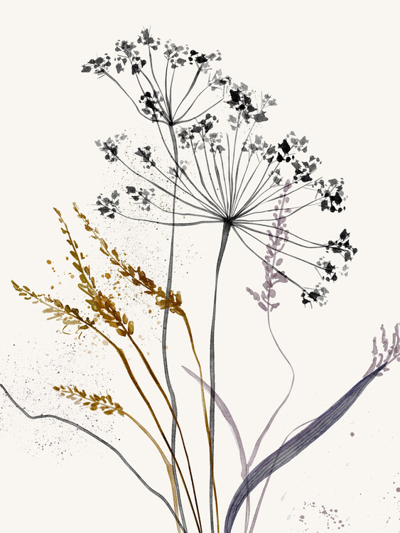 Poster Delicate Fields