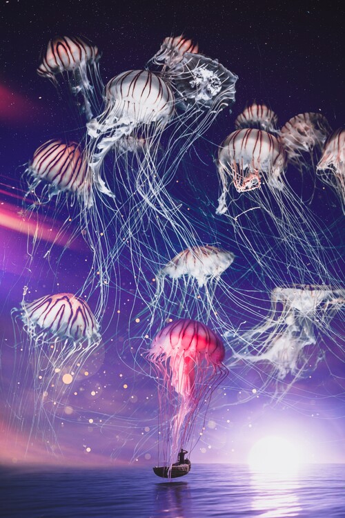 Poster The magical kingdom of jellyfish