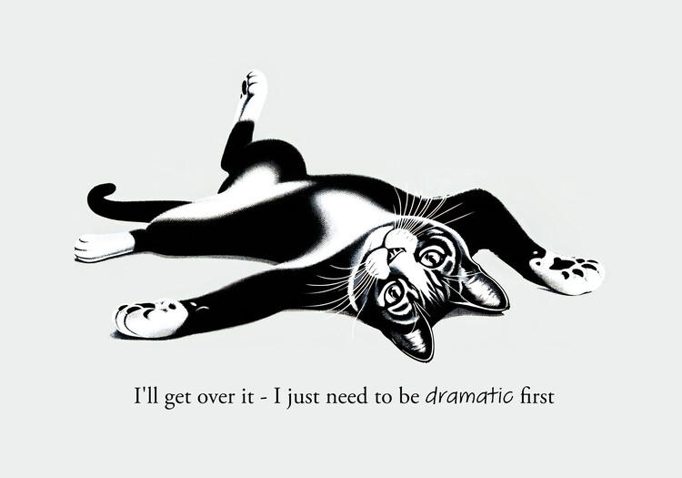 Poster I'll get over it