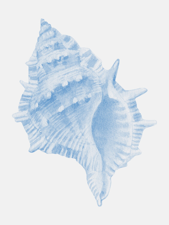 Levně Plakát, Obraz - One Blue Conch, Jolly and Dash, 30 × 40 cm