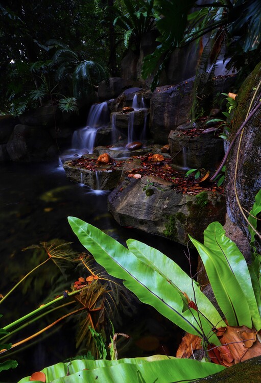 Плакат Kuala Lumpur Botanischer Garten Malaysia