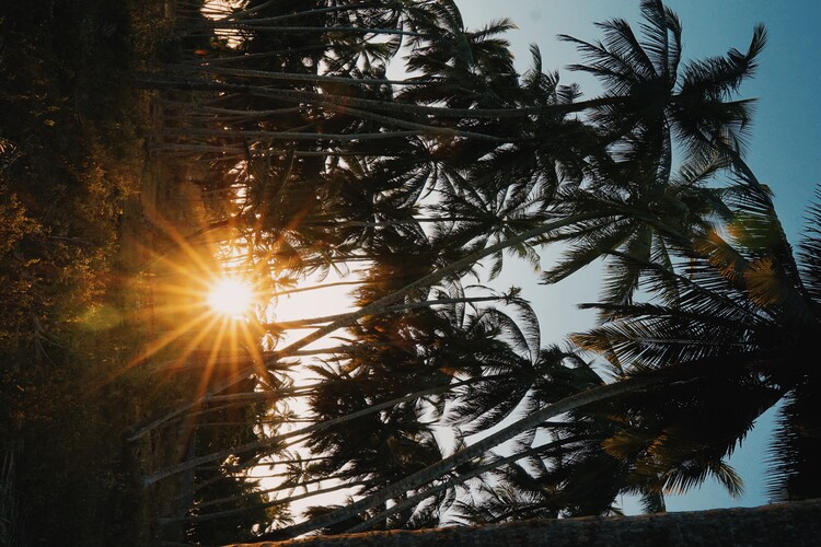 Плакат Sri Lanka Sonnenuntergang