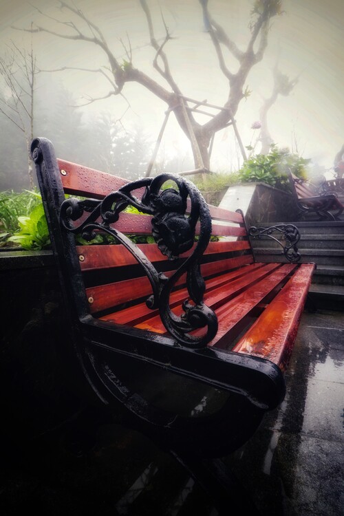 Плакат Vietnam Moody