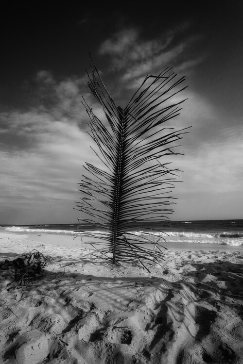 Poster Sri Lanka Strand