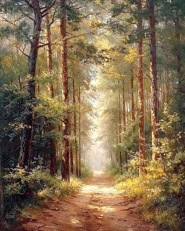 Poster Extended Path through a Dense Forest, modern wall decor