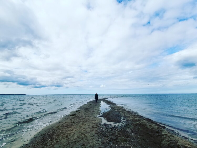 Plagát Loneliness