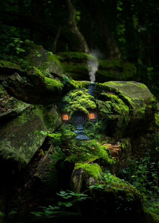 Poster Mini house in the moss forest