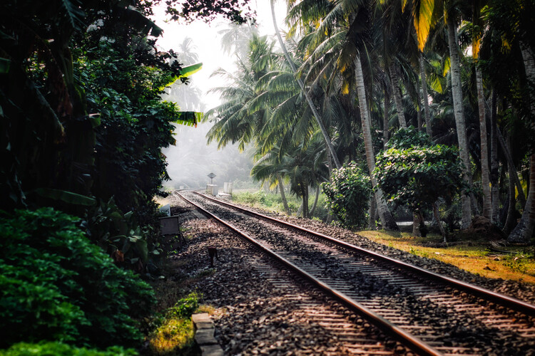 Poster Zuggleis in Sri Lanka