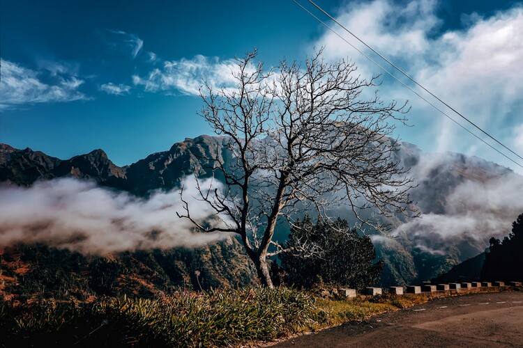 Poster Berglandschaft auf Madeira Portugal