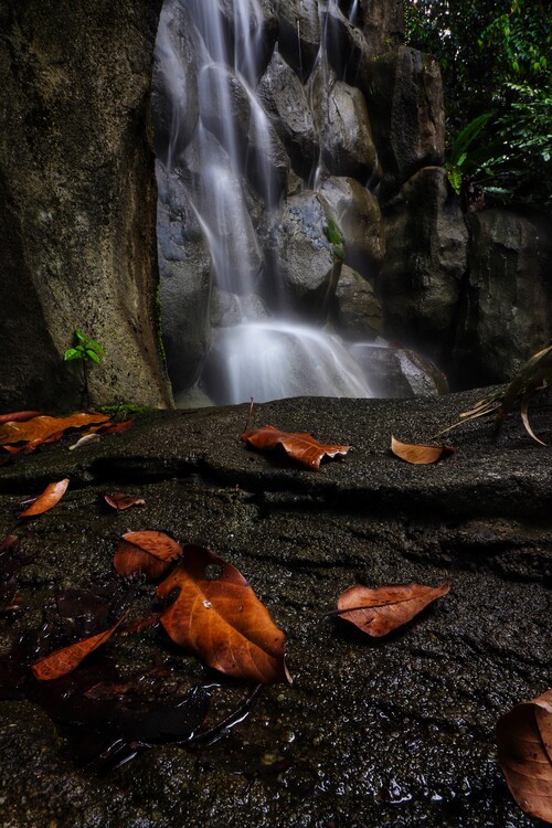 Плакат Wasserfall