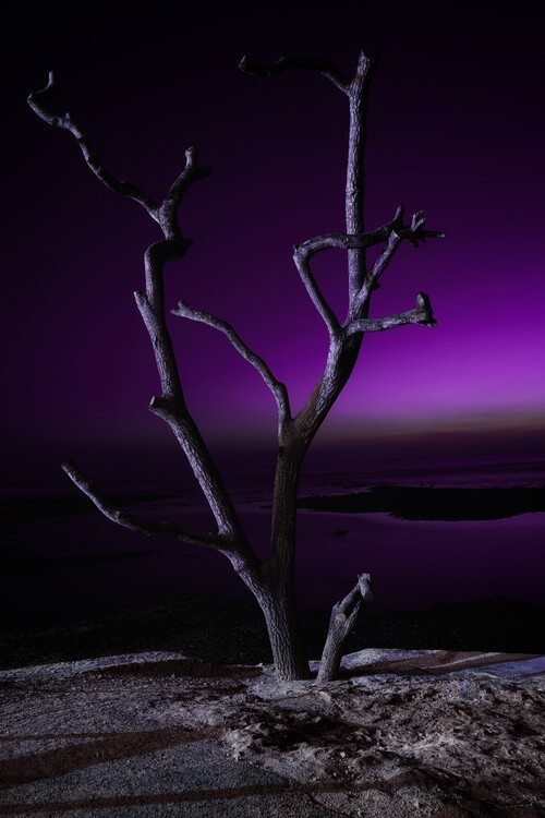 Poster Bali Indonesien