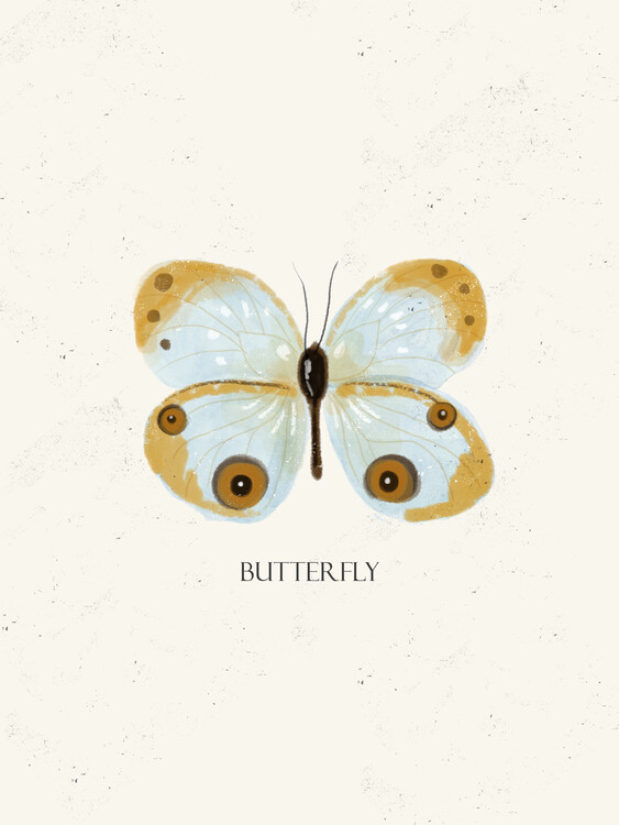 Poster Butterfly