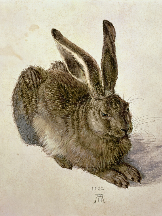 Poster Hare (1502)