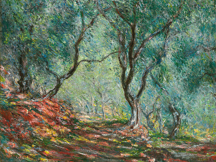 Canvas Print Olive Trees in the Moreno Garden (1884)