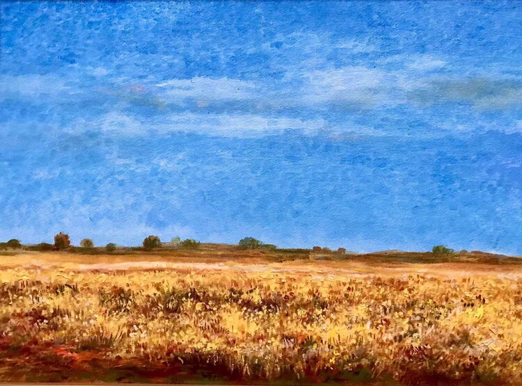 Плакат Freedom