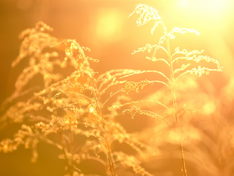 Плакат Behind the sun