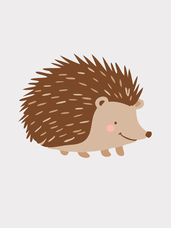 Plakat Hedgehog