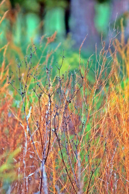 Poster Autumn is here No.3