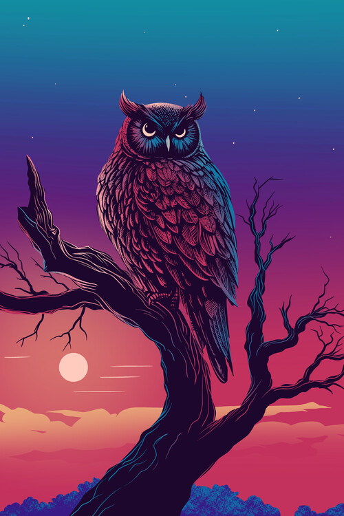 Poster Owl in the night