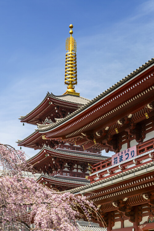 Плакат Pagoda and Hozomon Gate of the Senso-ji temple in Tokyo