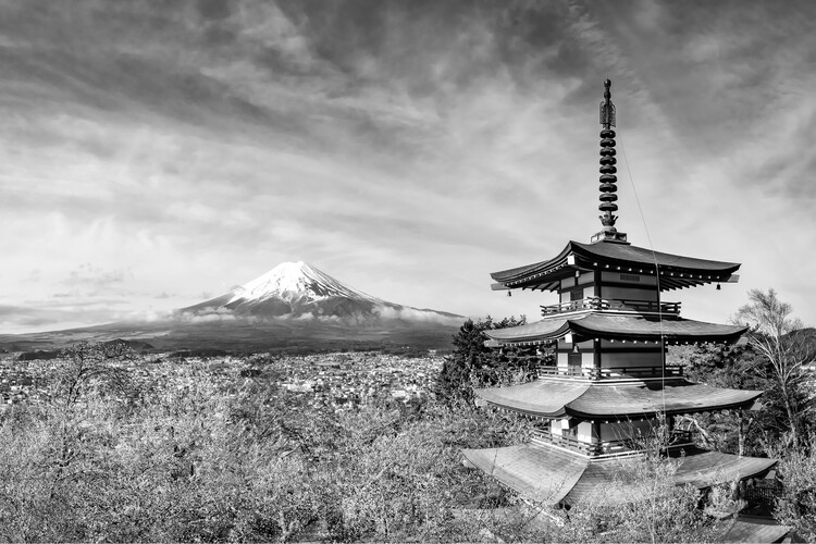 Poster Gorgeous monochrome view of Mount Fuji with Chureito Pagoda