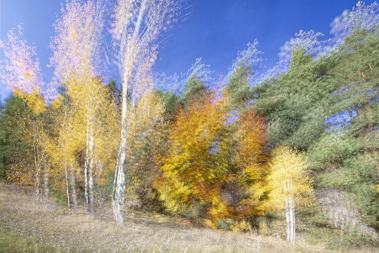 Плакат In the wind