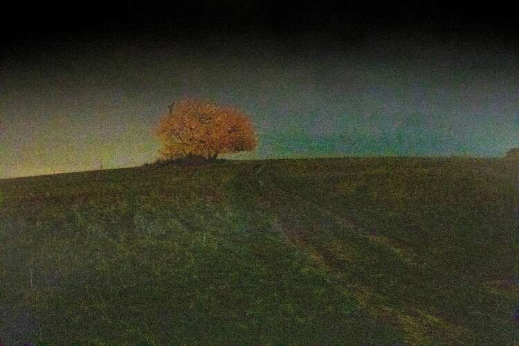 Плакат At night
