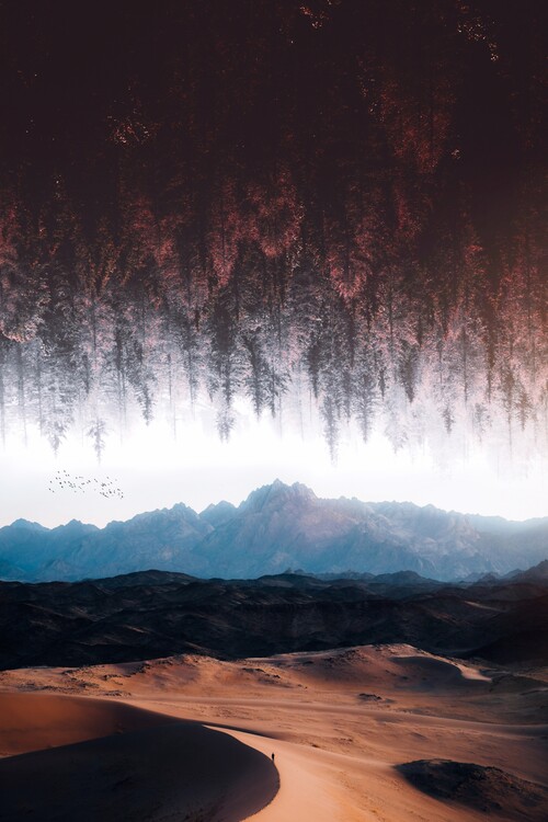 Plagát Upside down forest in the desert