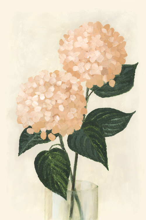 Poster Coral hydrangeas in a vase