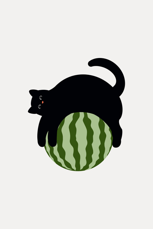 Poster Cat on Watermelon