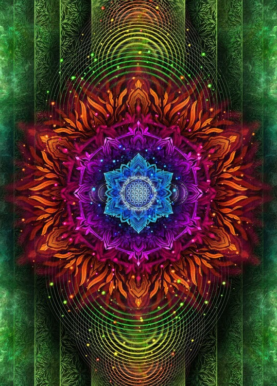 Poster ALIGNED FLOWER