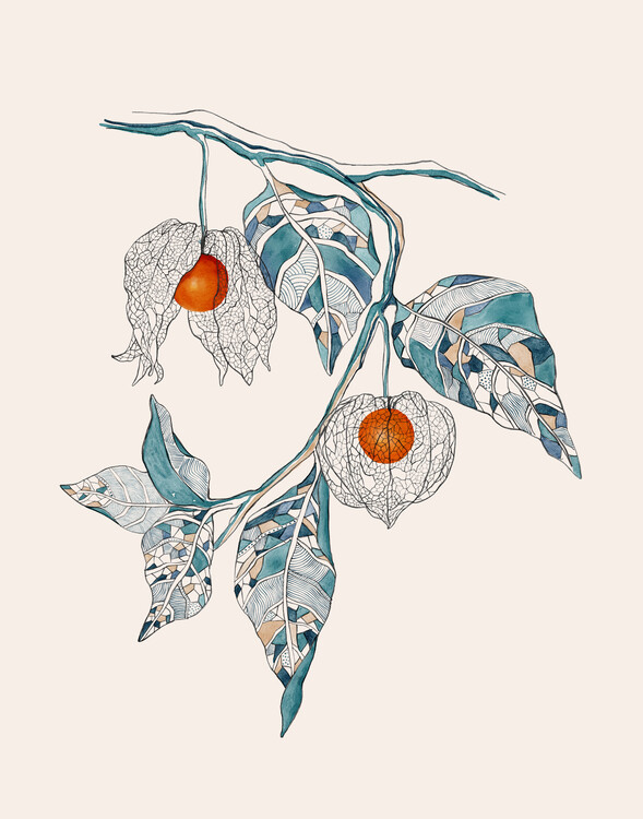Poster Physalis dream