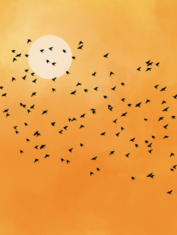 Plakát Sun-kissed Flying Birds