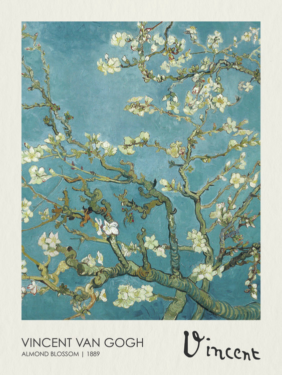 Canvas Print Almond Blossoms