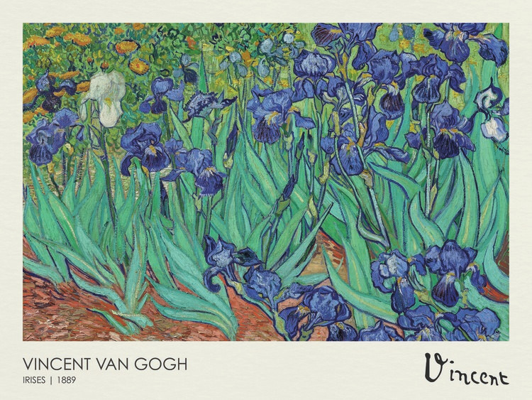 Canvas Print Irises (1889)