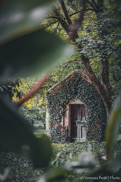 Poster Fairy tale place