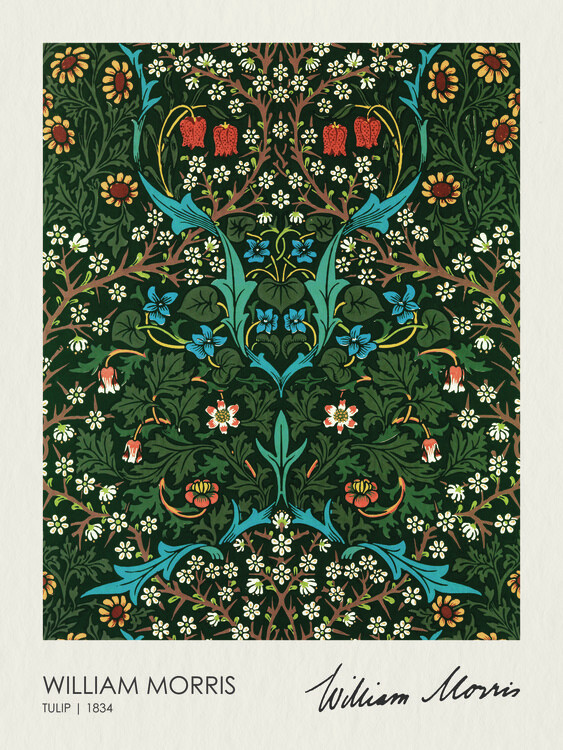Poster Tulip Blackthorn (1834)