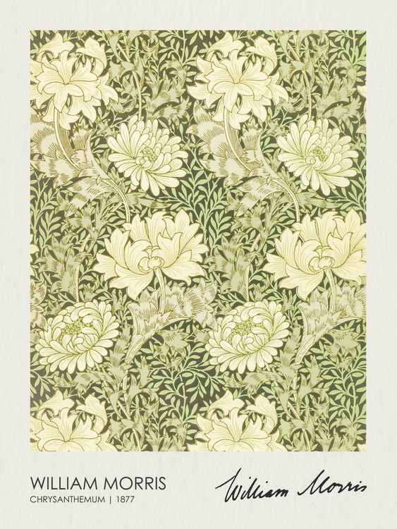 Canvas Print Chrysantemum (1877)
