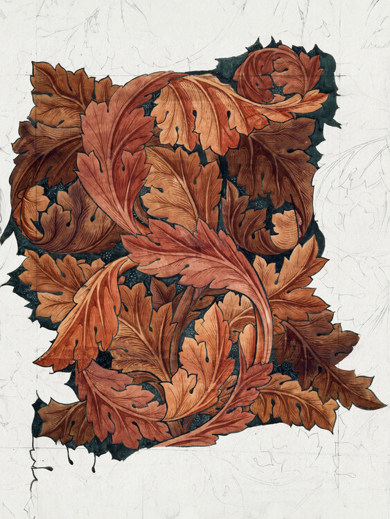 Poster Acanthus 1879