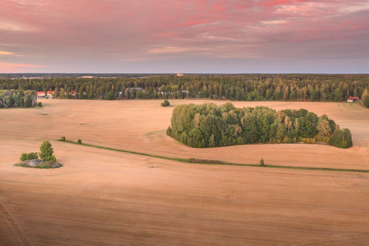 Poster Autumn Glow Over Open Fields