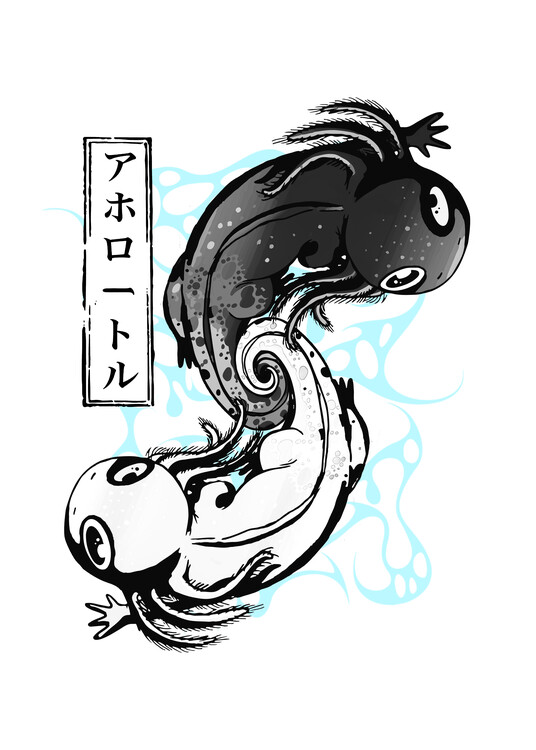 Αφίσα Kawaii Axolotl Yin Yang