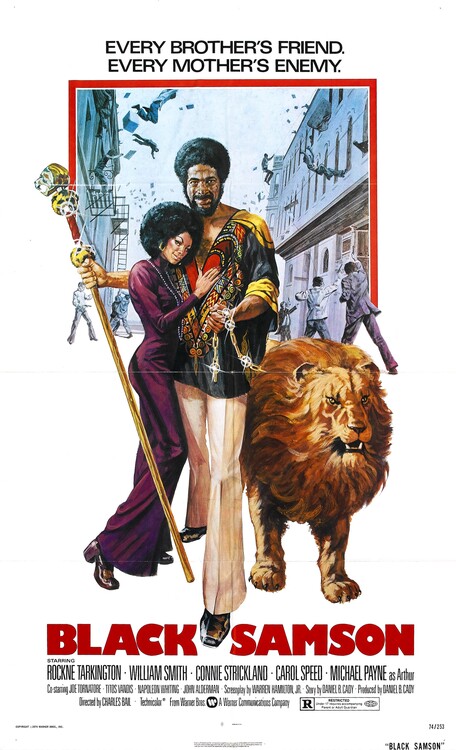 Cuadro en lienzo Black Samson