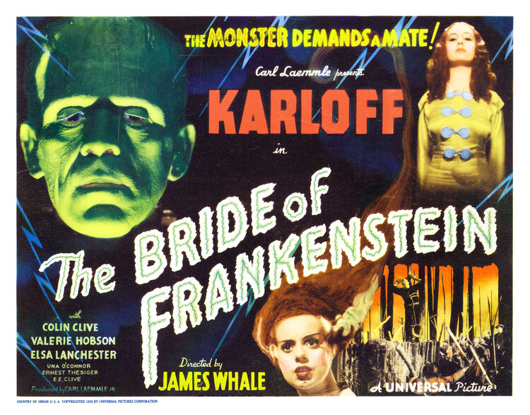 Картината върху платно Bride Of Frankenstein 05