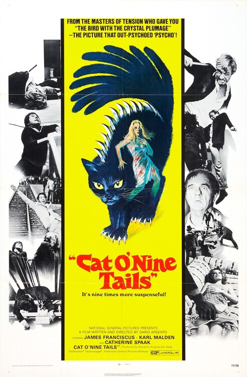 Obraz na plátně Cat O Nine Tails 02
