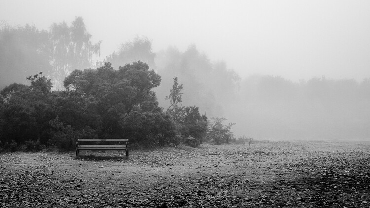 Plakát The Forgotten Bench