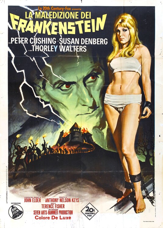 Obraz na plátně Frankenstein Created Woman 02