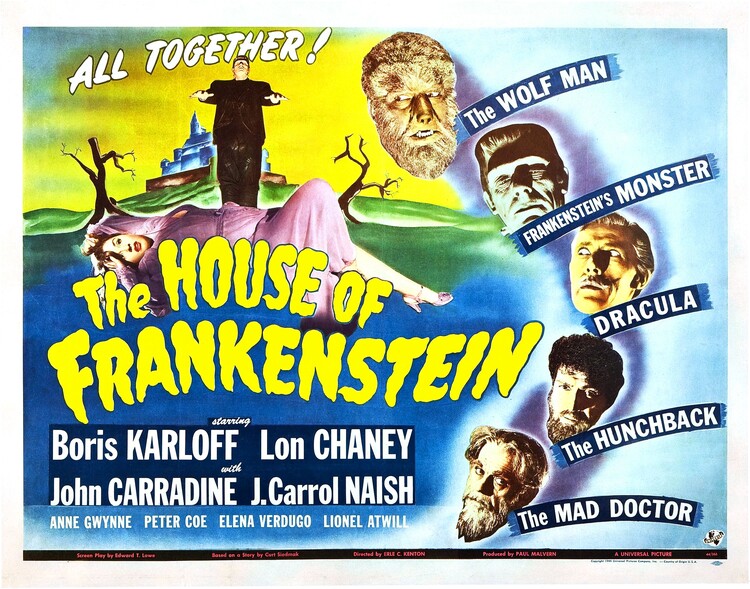 Obraz na plátně House Of Frankenstein 06